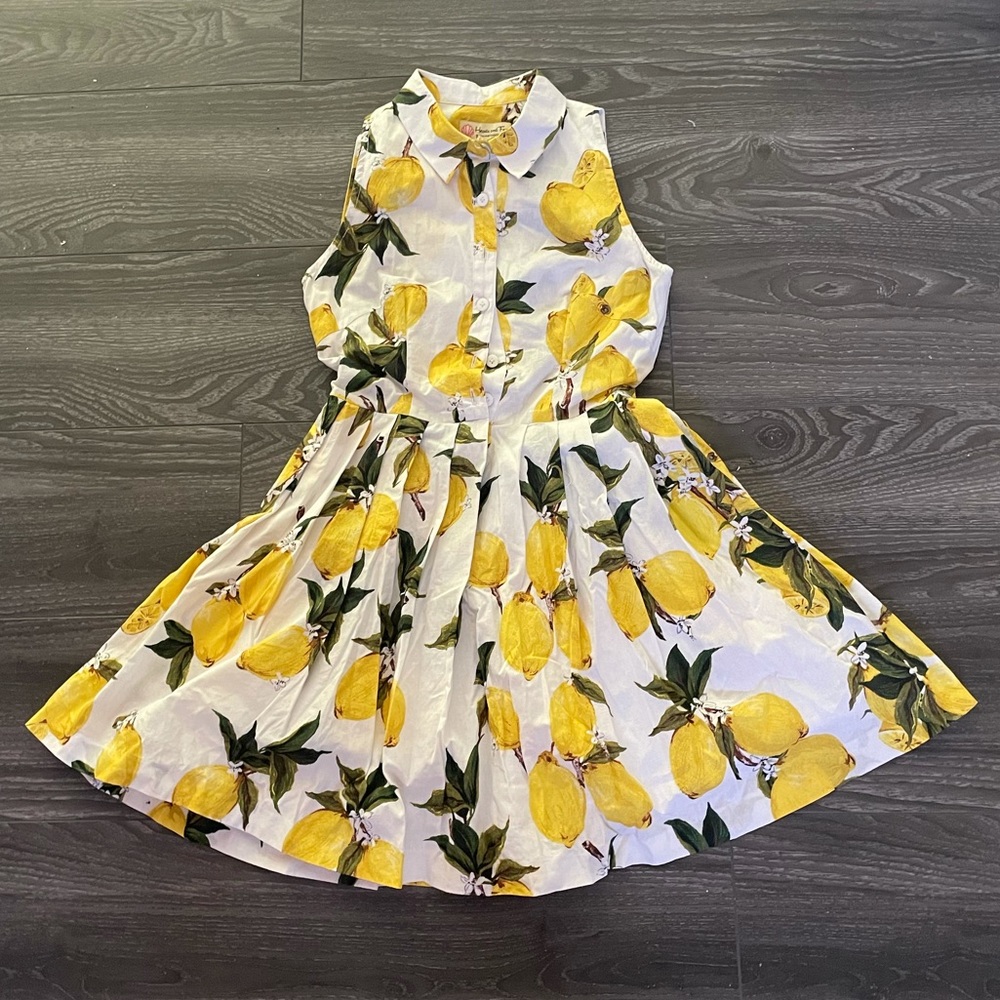 New Eleanor Lemon Hearts and Found, pleated button front shirt dress